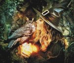 (image for) Magic Wisdom